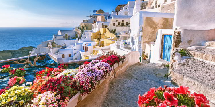 Scenic view of traditional cycladic houses on small street with flowers in foreground, Oia village, Santorini, Greece.