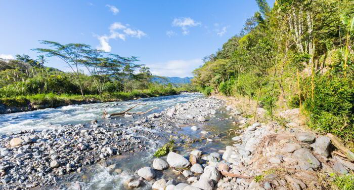 Caldera creek in the jungle with blue sky in a sunny day panoramic view in Panama