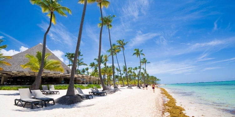 Tropical beach in Sargasso sea, Punta Cana, Dominican Republic