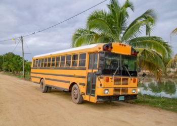 And old yellow school bus on a dirt road in Belize