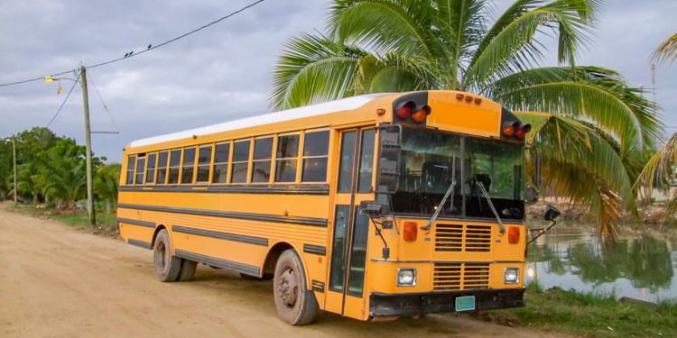 And old yellow school bus on a dirt road in Belize