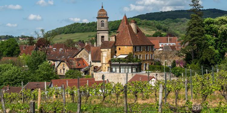 Beautiful vineyards in the town of Arbois in France