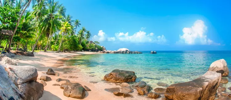 Beautiful tropical beach at exotic island with palm trees