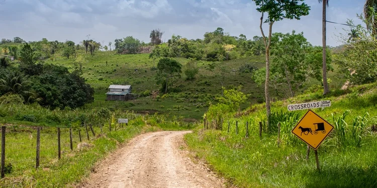 Backroad in the Cayo District of Belize near Mennonite settlement of Spanish Colony.