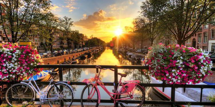 Beautiful sunrise over Amsterdam, The Netherlands, with flowers and bicycles on the bridge in spring