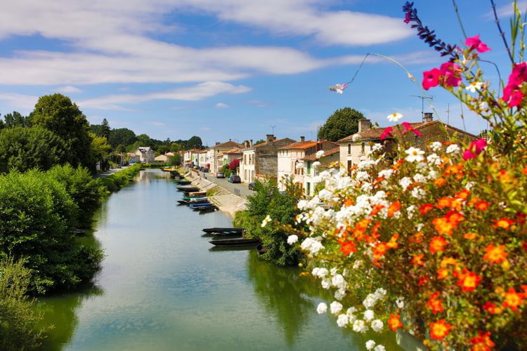 A beautiful view of houses and a river in Marais in Paris with colorful flowers to the right.