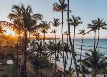 Aerial drone view of the paradise beach with palm trees and blue water of Atlantic ocean at sunset, Las Terrenas, Samana, Dominican Republic