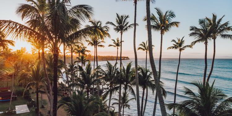 Aerial drone view of the paradise beach with palm trees and blue water of Atlantic ocean at sunset, Las Terrenas, Samana, Dominican Republic