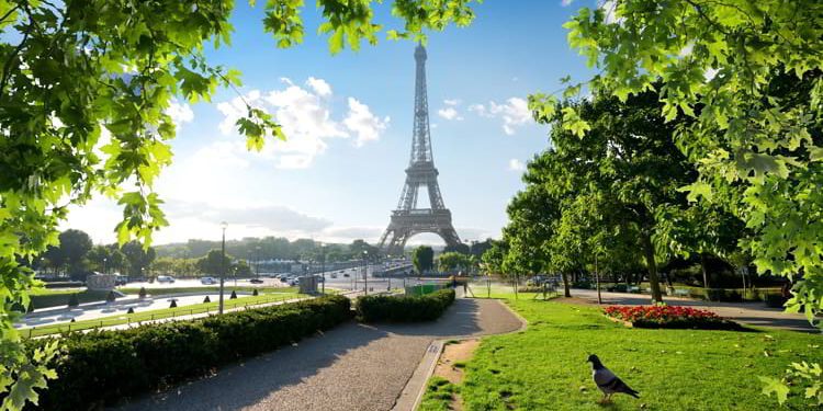 A bird in a park with green grass with the Eiffel Tower in the background in Paris, France