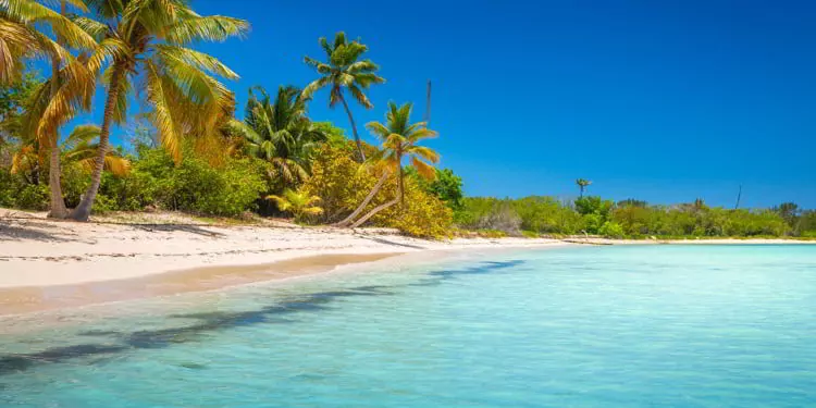 How Living In The Dominican Republic Could Change Your Life