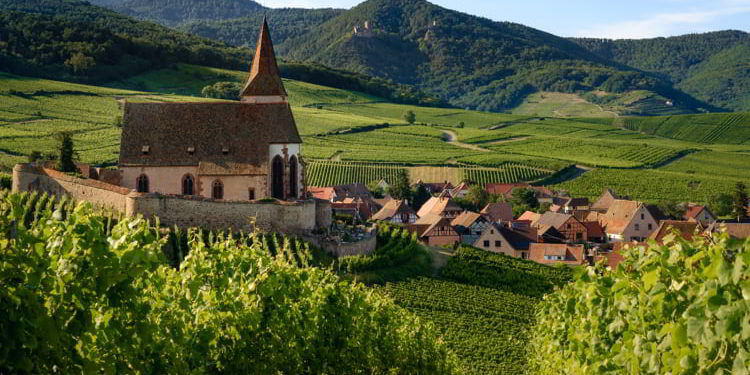 Summer sunset view of the medieval church of Saint-Jacques-le-Major in Hunawihr, small village between the vineyards of Ribeauville, Riquewihr and Colmar in Alsace, France