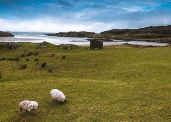 The American Dream Of Ireland