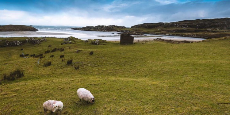 The American Dream Of Ireland