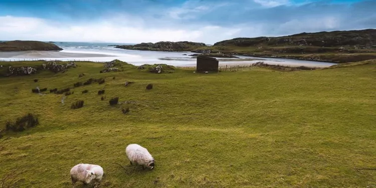 The American Dream Of Ireland