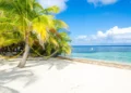 Blue skies and sandy beach in Belize