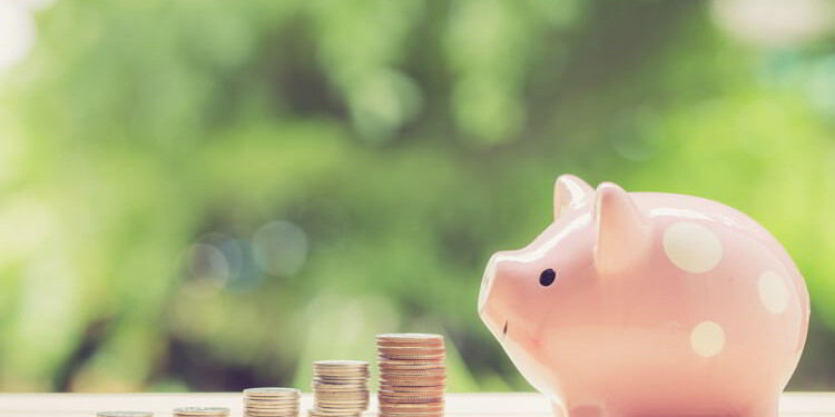 Money coins stack growing graph and piggy bank