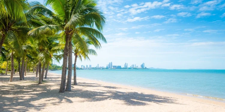 Thailand, Cambodia, Vietnam, and Malaysia have all drafted new immigration laws and investment incentives. life overseas