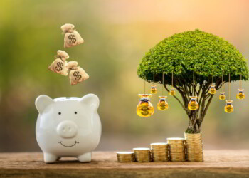 Why You Should Look Beyond Stocks