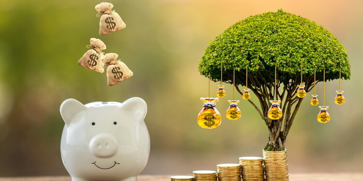 Why You Should Look Beyond Stocks