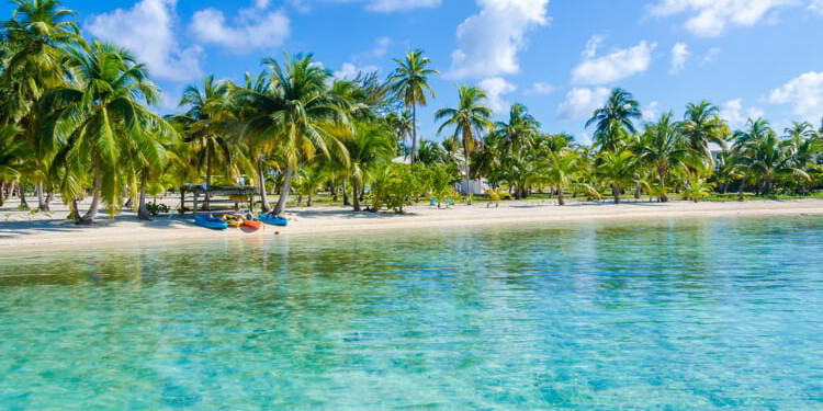 The Best Place To Live Self-Sufficiently