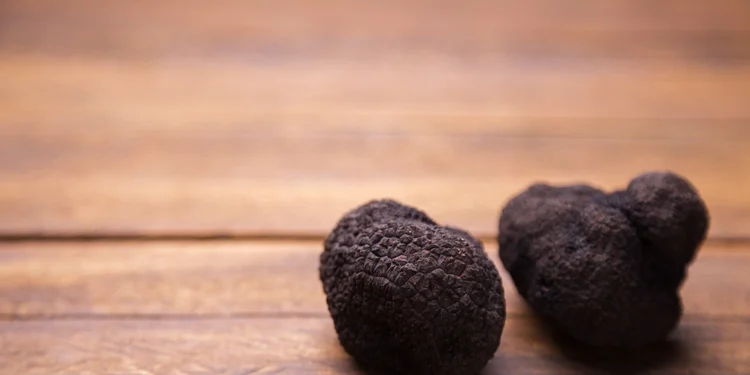 truffles, the ultimate hard asset