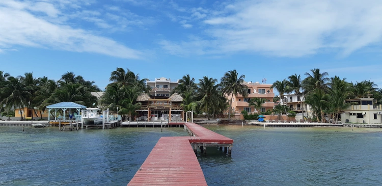 Colourful houses and palms at Caye Caulker island, Belize