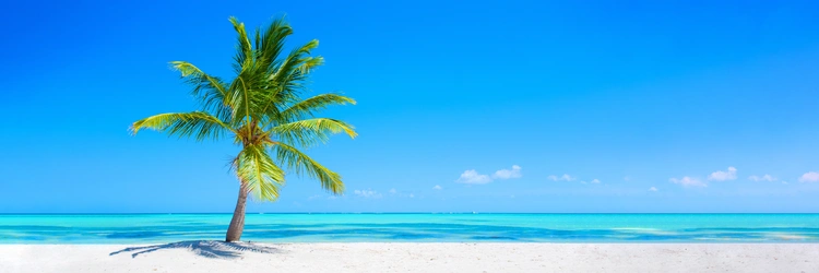 Tropical beach with white sand.
