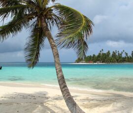 A palm tree sways on the white sand beaches of the San Blas Islands, Panama.