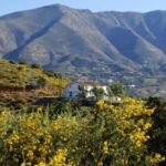 The green hills of Spain.