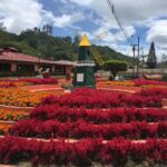 artistic-flower-garden